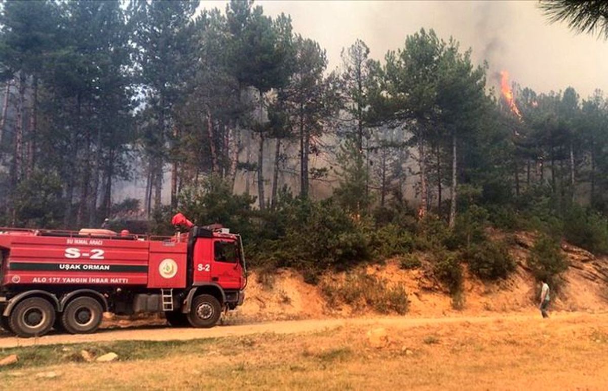 Uşak\'ta ormanlık alanda yangın çıktı