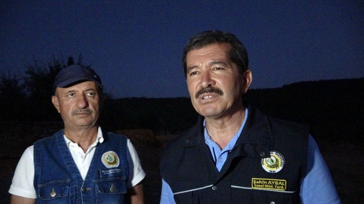 Uşak\'taki orman yangından 3 hektarlık alan zarar gördü