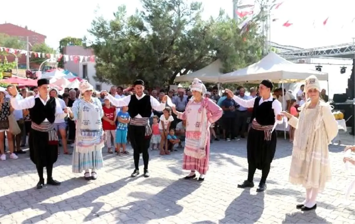 Çeşme\'de \'tarım ve sakız koyunu festivali\'