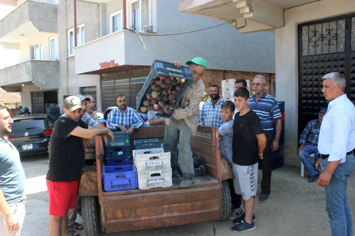 Dünyada sadece Bursa\'da yetişiyor ama alan yok