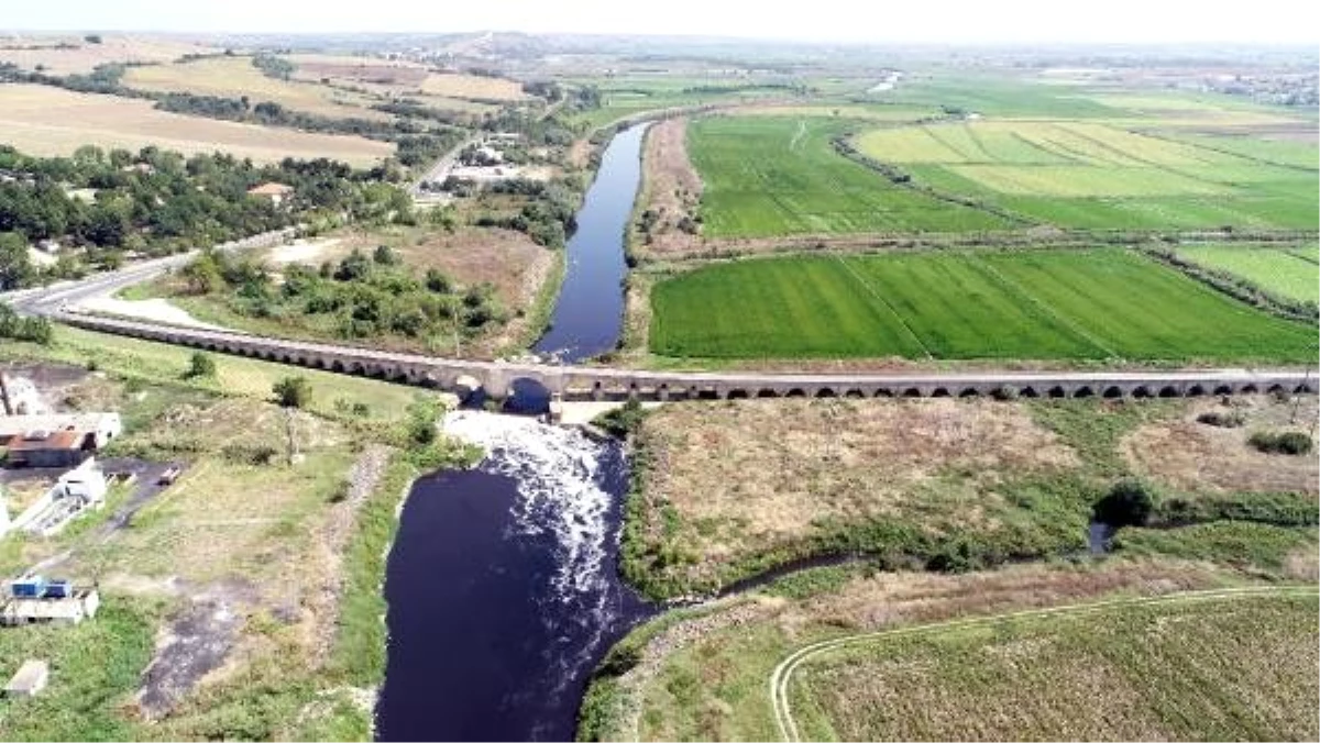 Ergene nehri\'ni kirleten sanayi, yer altı sularını kuruttu