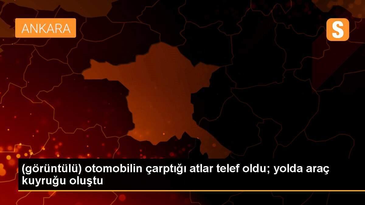 (görüntülü) otomobilin çarptığı atlar telef oldu; yolda araç kuyruğu oluştu