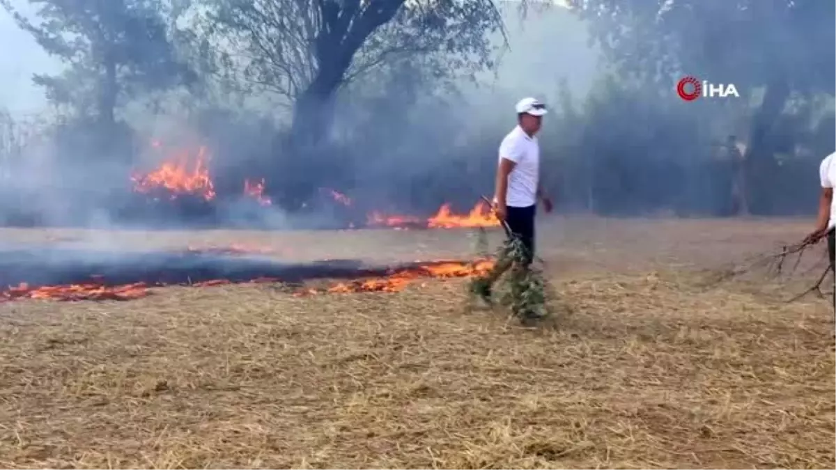 Güreşi bırakıp yangına koştular