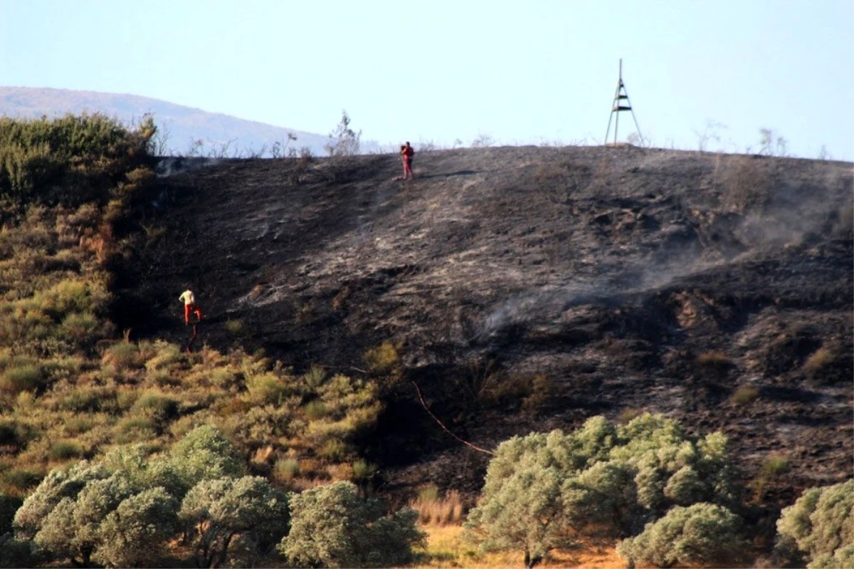 Hatay\'da çıkan yangında 4 hektarlık alan kül oldu