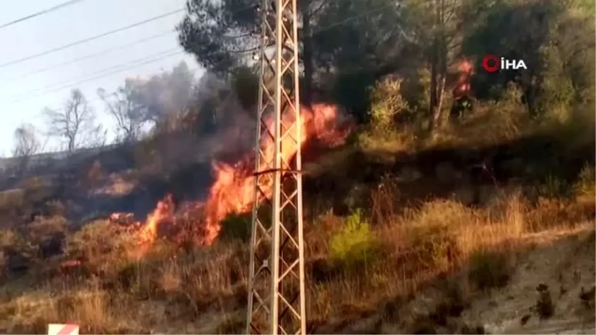 Hatay\'da zeytinlikte yangını çıktı