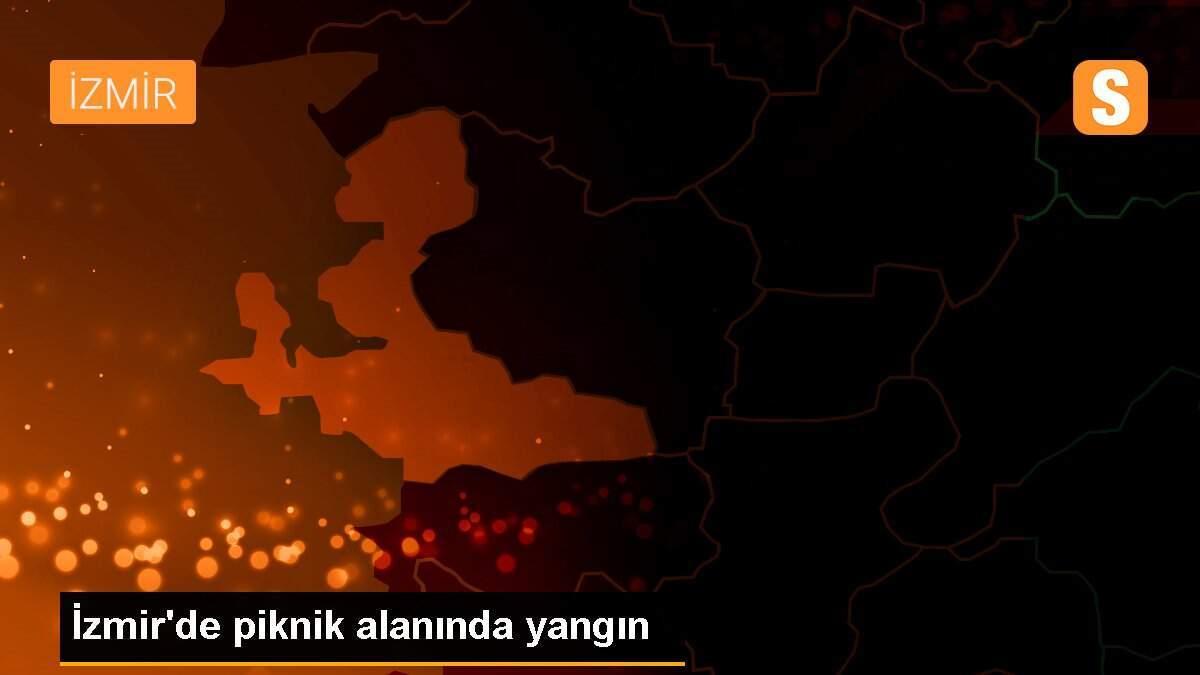 İzmir\'de piknik alanında yangın