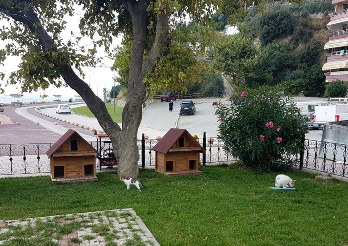 Kedi evleri Gemlik Belediyesi\'nden