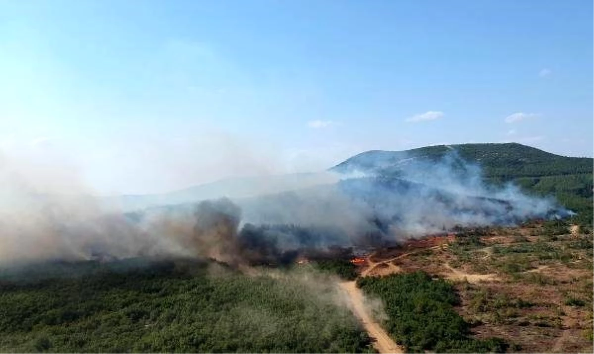 Keşan\'daki orman yangını 12 saatte söndürüldü