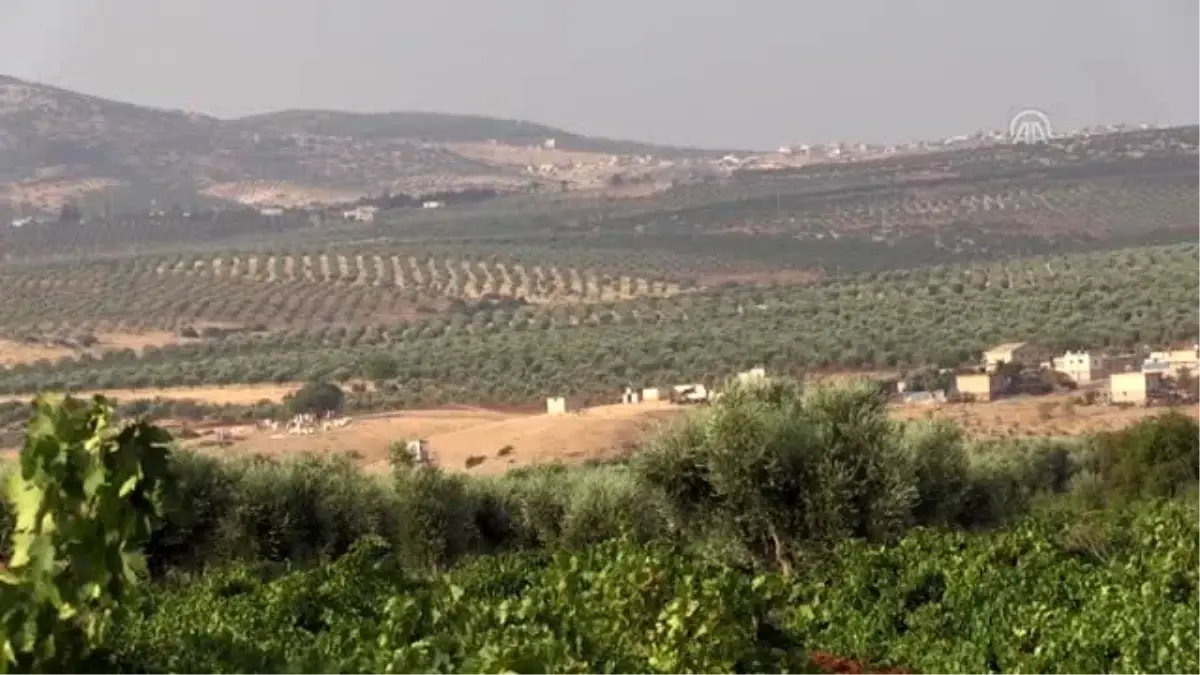 "Kilis karası" üreticisinin yüzü gülüyor