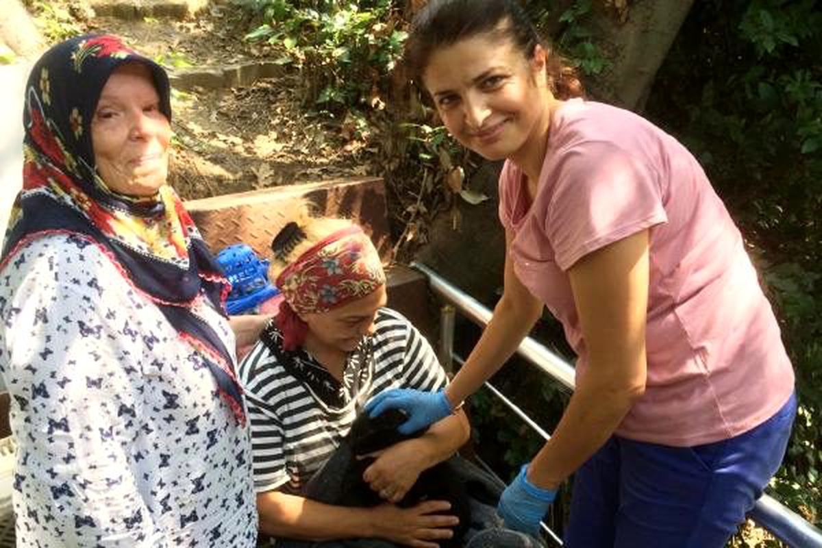 2 aydır, boynundaki camla yaşayan kedi kurtarıldı