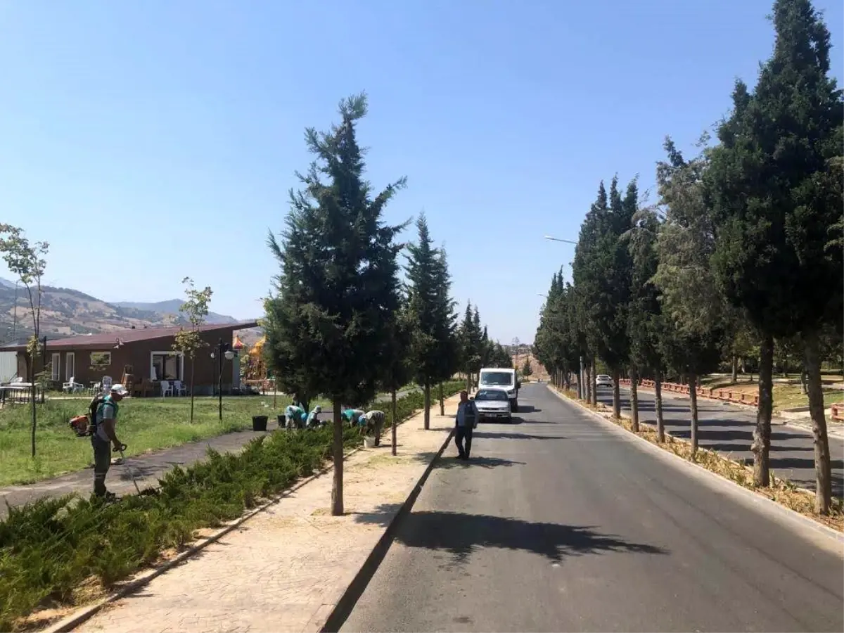 Alaşehir\'in Yeşil Dokusuna Özenli Çalışma