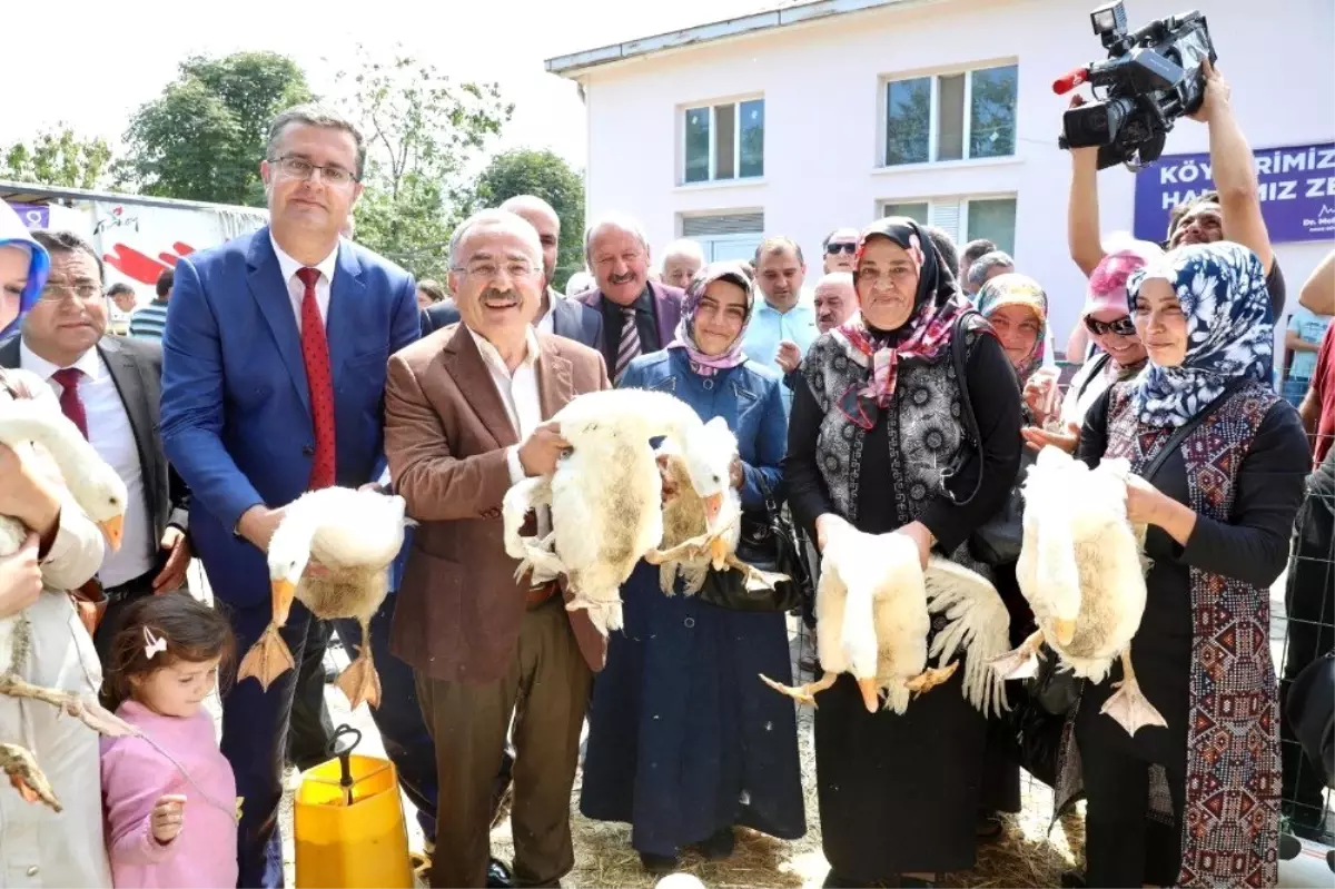 Hilmi Güler\'in tarım projesi büyüyor