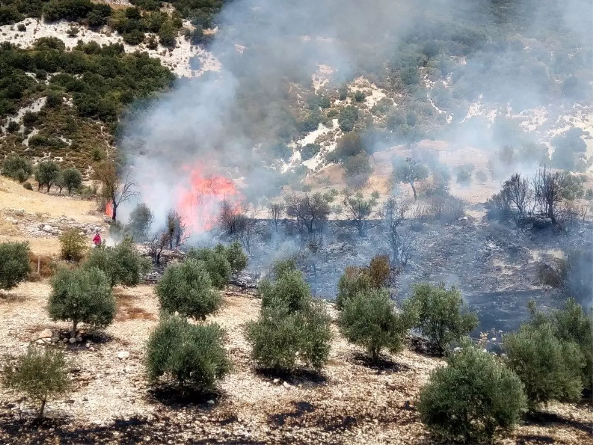 Kaş\'ta çıkan orman yangını büyümeden söndürüldü