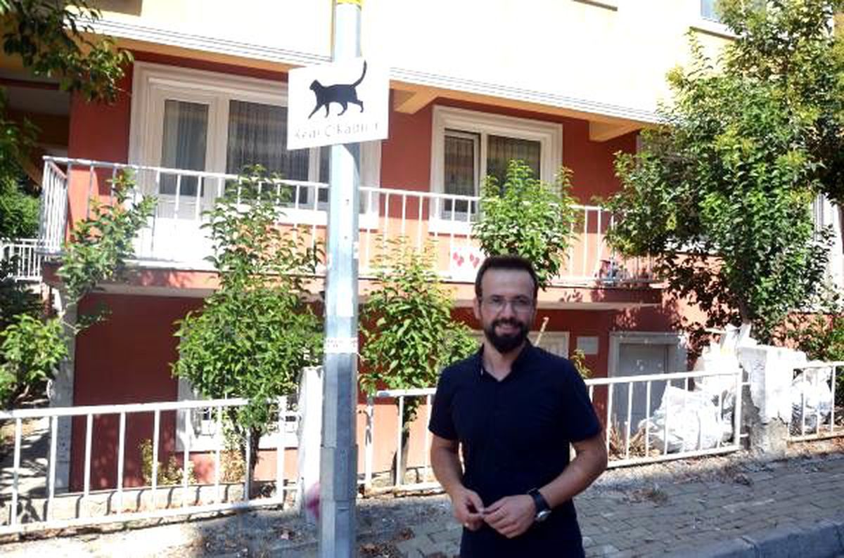 Avcılar\'da sürücüler için \'kedi çıkabilir\' tabelaları astılar