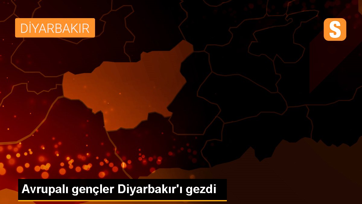 Avrupalı gençler Diyarbakır\'ı gezdi