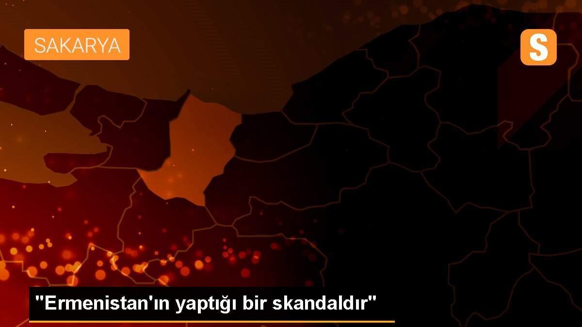 "Ermenistan\'ın yaptığı bir skandaldır"