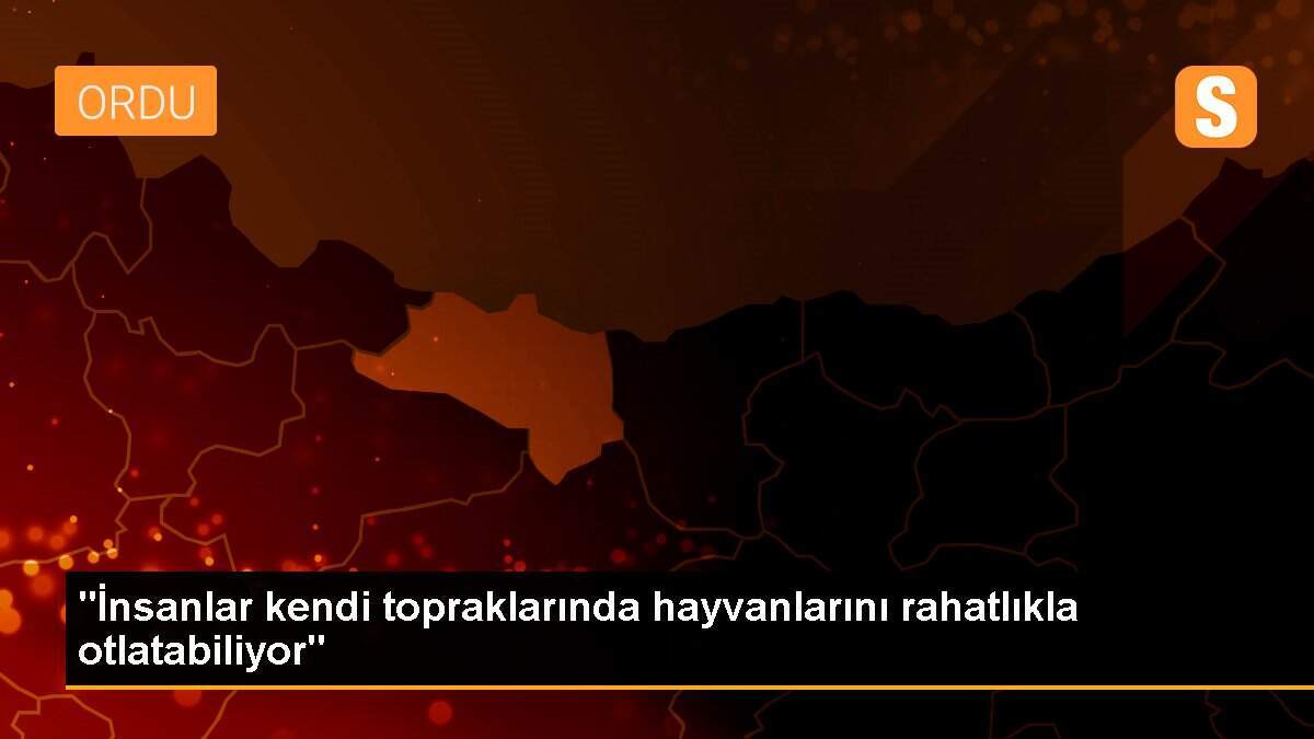 "İnsanlar kendi topraklarında hayvanlarını rahatlıkla otlatabiliyor"