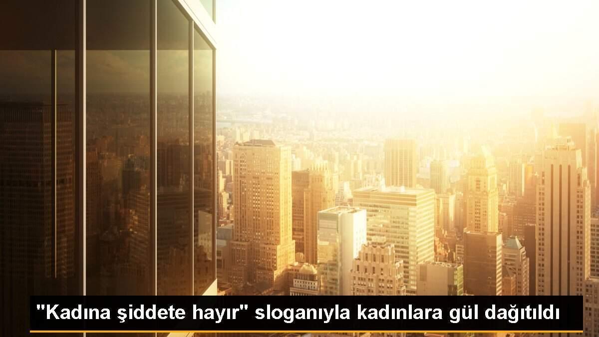 "Kadına şiddete hayır" sloganıyla kadınlara gül dağıtıldı