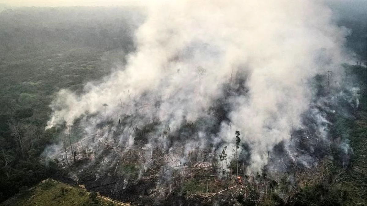 Kanada Brezilya\'ya Amazonlar için 15 milyon dolar ve yangın söndürme uçakları gönderecek