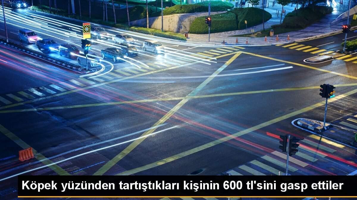 Köpek yüzünden tartıştıkları kişinin 600 tl\'sini gasp ettiler
