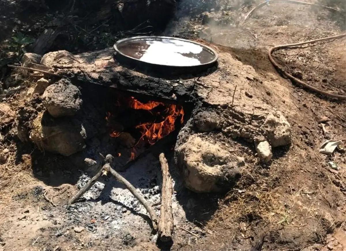 Köylere dönüşün başlamasıyla vatandaşlar pekmez yapımına başladı