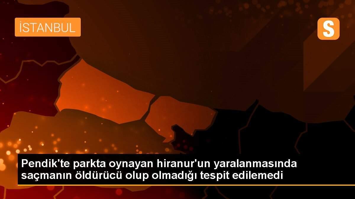 Pendik\'te parkta oynayan hiranur\'un yaralanmasında saçmanın öldürücü olup olmadığı tespit edilemedi