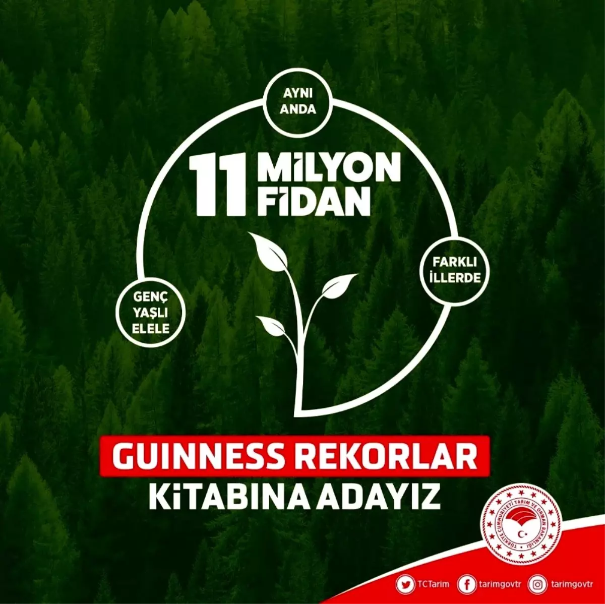 YÖK Başkanı Saraç\'tan Guinness\'a aday fidan dikme etkinliğine destek