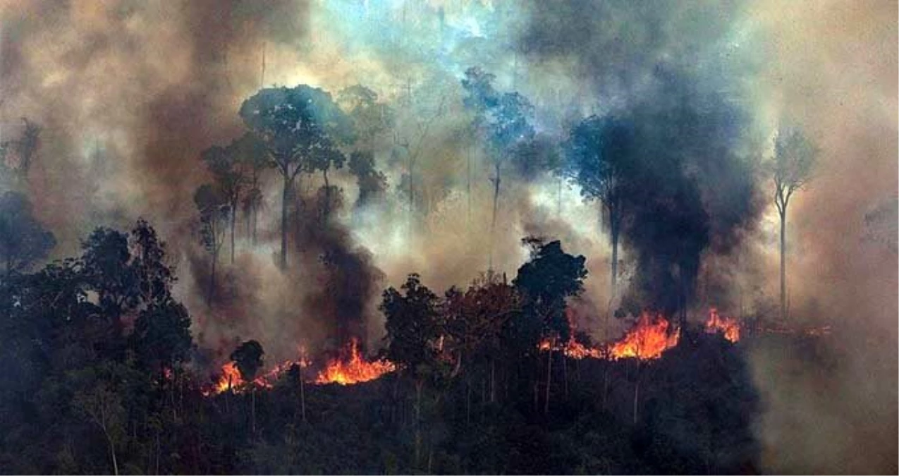 Amazon yangınları neleri tehdit ediyor?