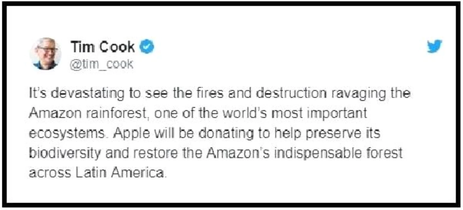 Apple amazon\'daki yangınla mücadele için bağış yapacak