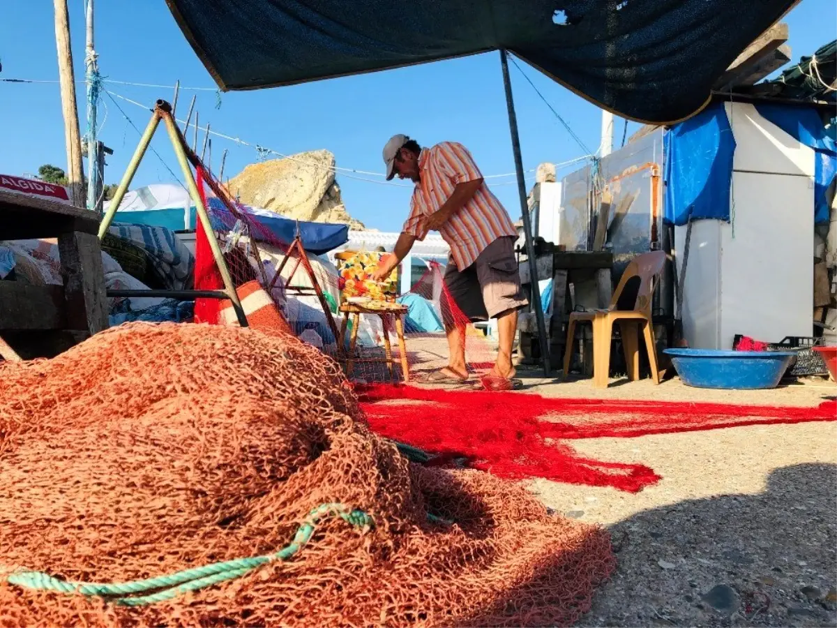 Balıkçılar yeni sezonda lüfer ve hamsiden umutlu