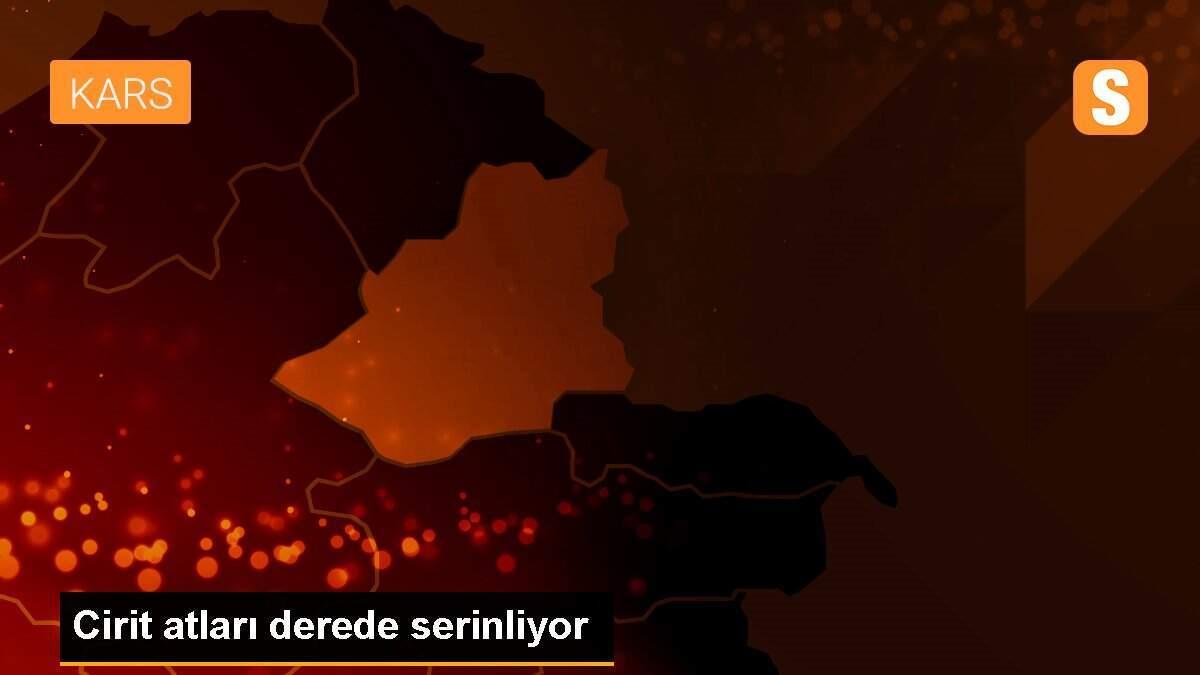 Cirit atları derede serinliyor