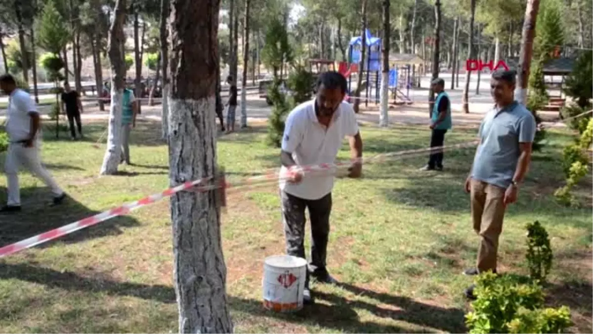 Denetimli serbestlik yükümlüleri, ağaçları boyadı