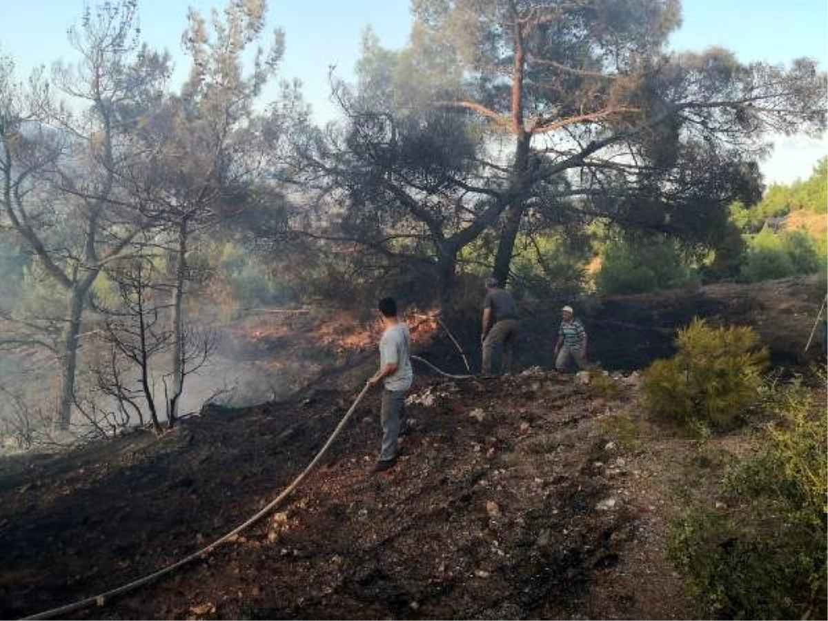 Eskişehir\'de orman yangını erken müdahaleyle söndürüldü