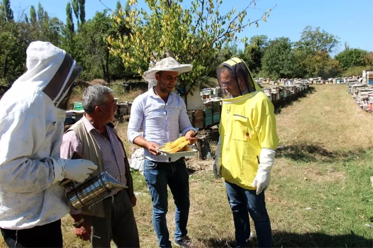 Kaymakam Pişkin, "Verimi yüksek olan arıcılığı ilçemizde geliştirmeliyiz"