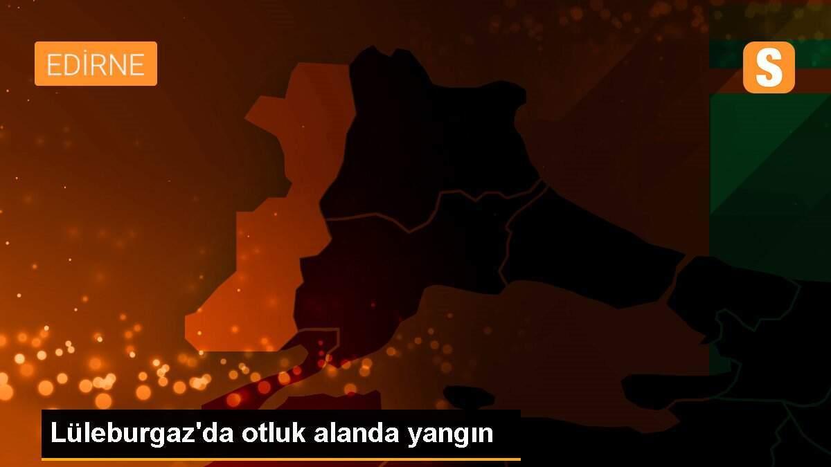 Lüleburgaz\'da otluk alanda yangın