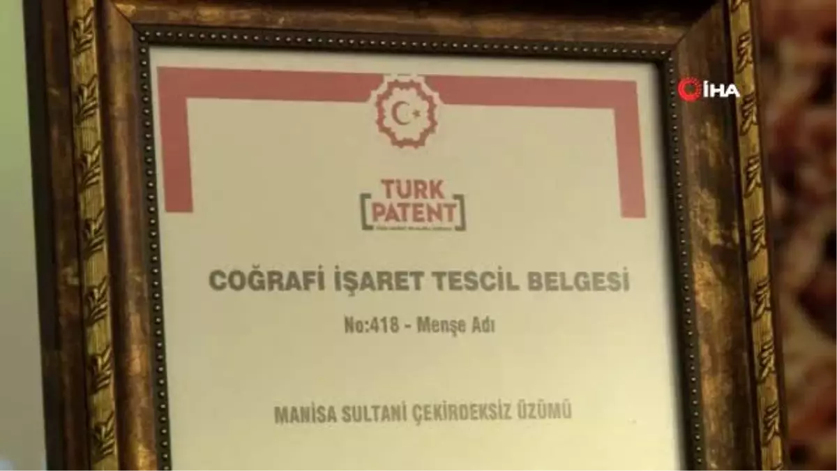 Manisa Çekirdeksiz Sultani Üzümü, AB tescili yolunda