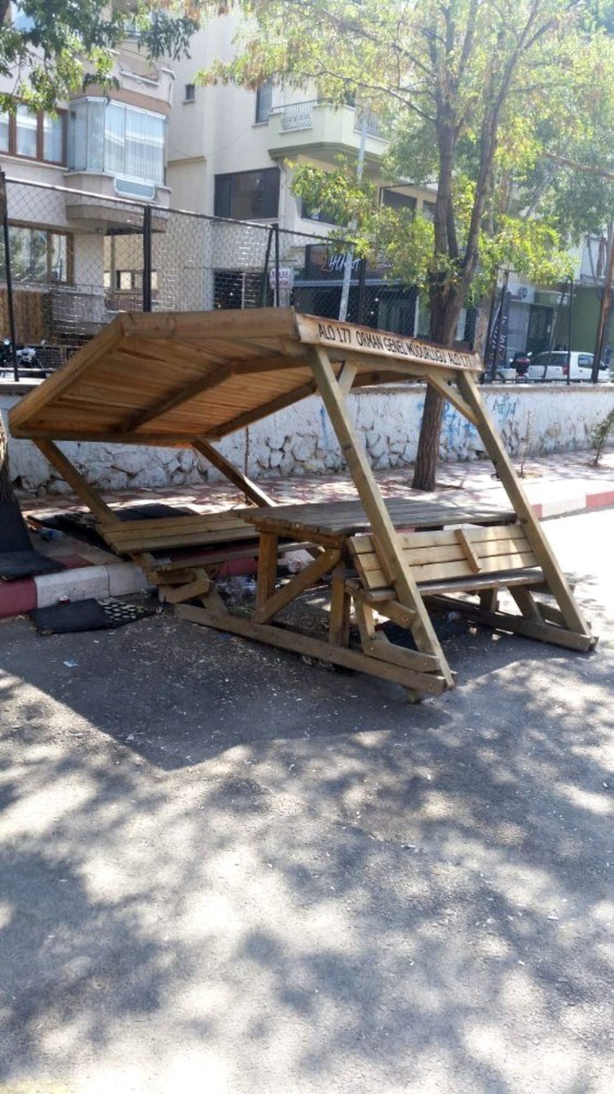 Okul bahçesindeki kamelyaları talan ettiler