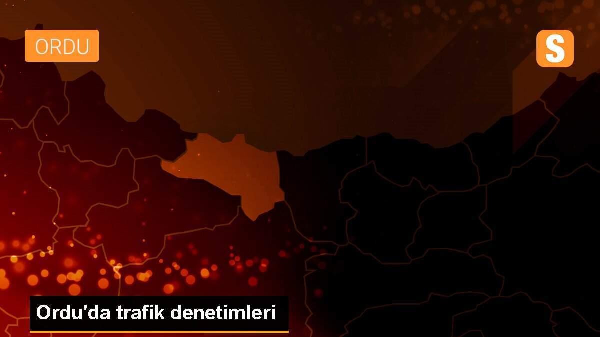 Ordu\'da trafik denetimleri