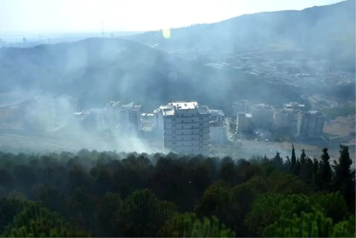 Orman yangının çıktığı anlar kamerada