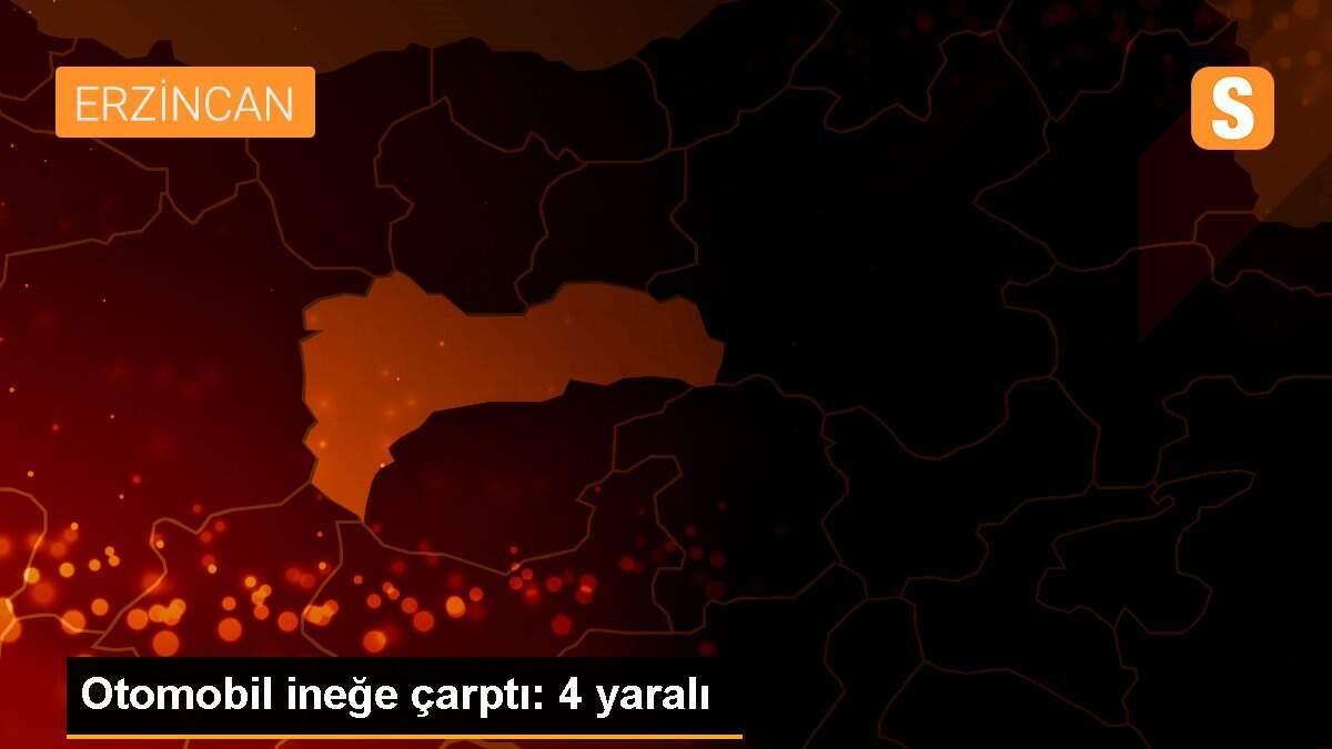 Otomobil ineğe çarptı: 4 yaralı