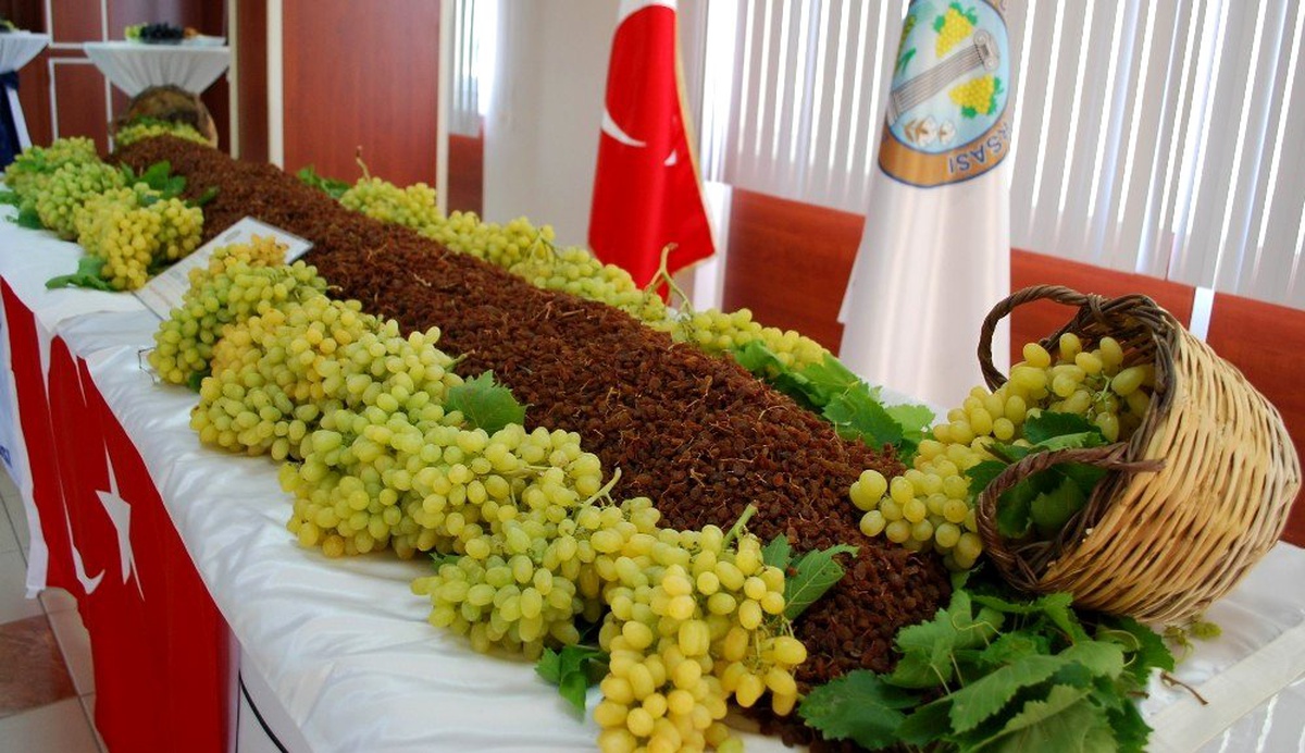 Salihli\'de en güzel üzümler yarışacak
