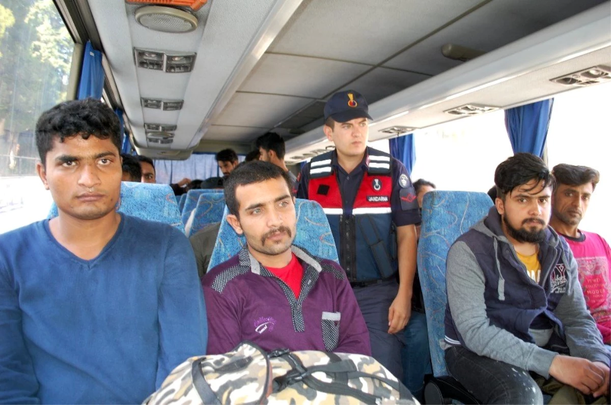 Tekirdağ\'da 36 kaçak göçmen yakalandı