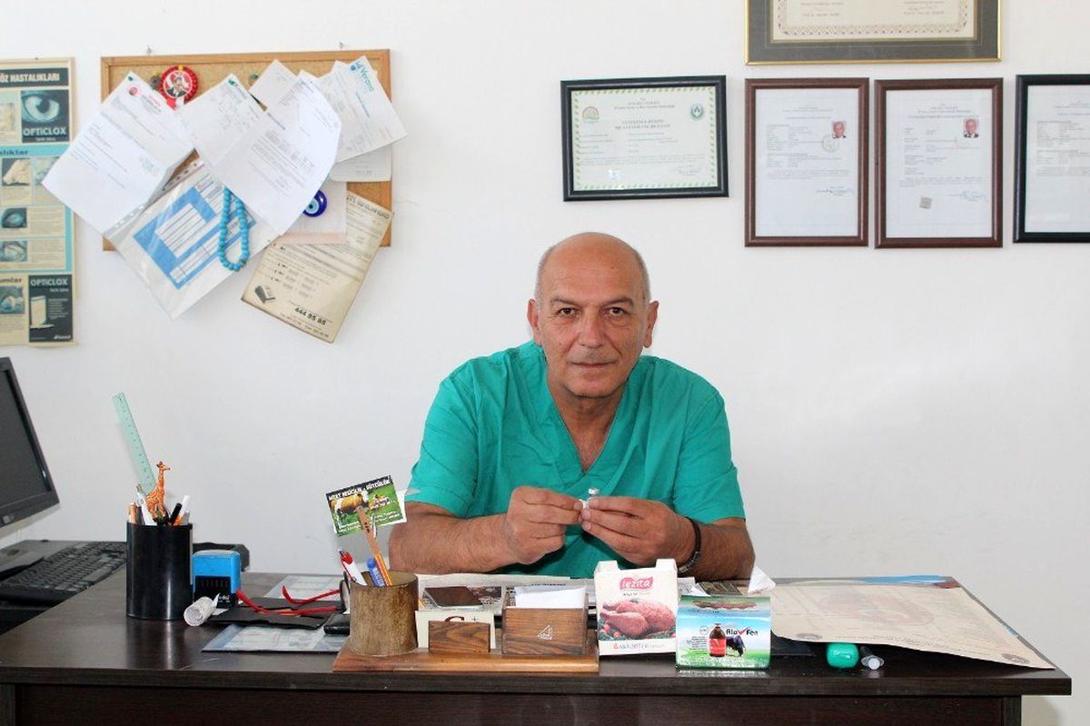 Veteriner hekim Kıranoğlu: "Sokak hayvanlarını kısırlaştırdıktan sonra takip edilmeleri için...