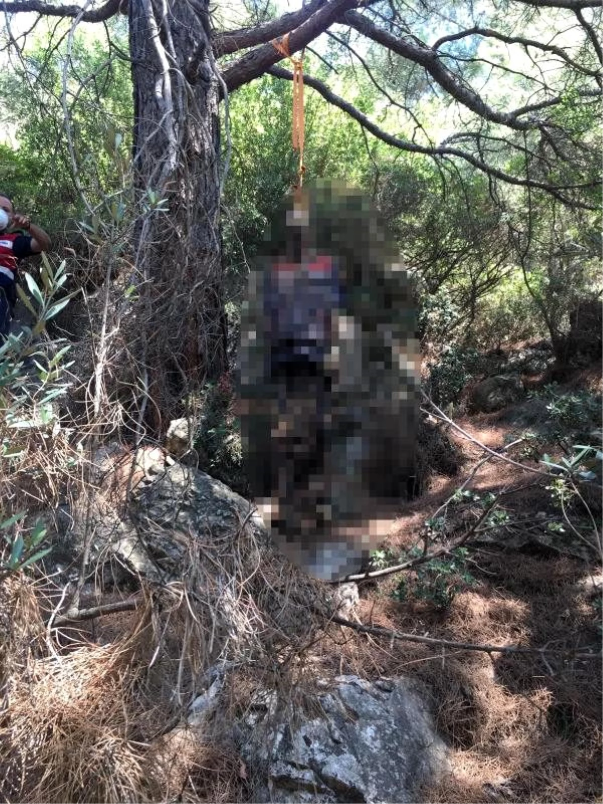 5 aydır kayıp olan kişinin ormanda ağaca asılı cesedi bulundu