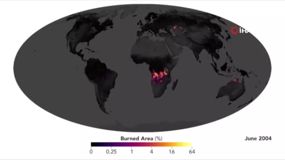 Afrika Yanıyor Ancak Amazonlar KonuşuluyorDünya Üzerindeki Her 7 Yangından 1\'i Afrika\'da