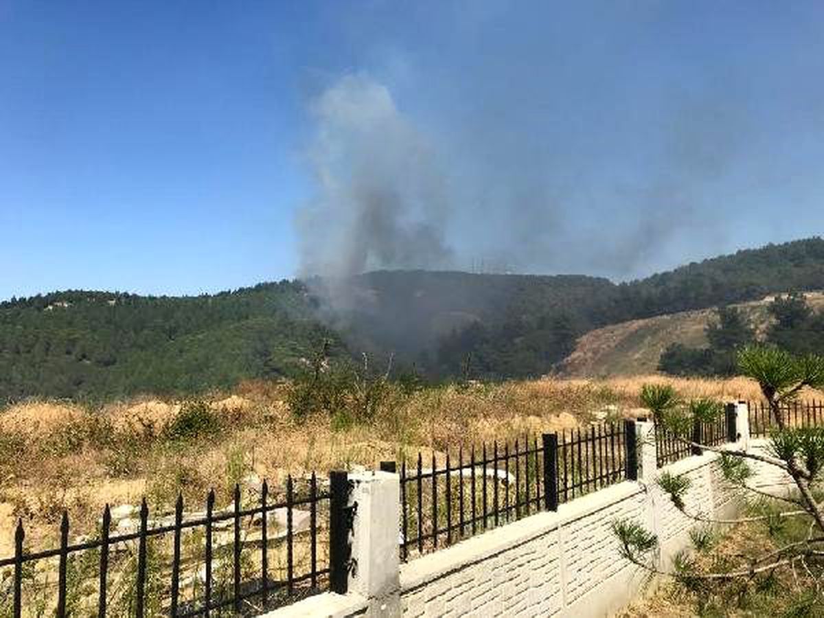 Çanakkale\'de orman yangını (1)
