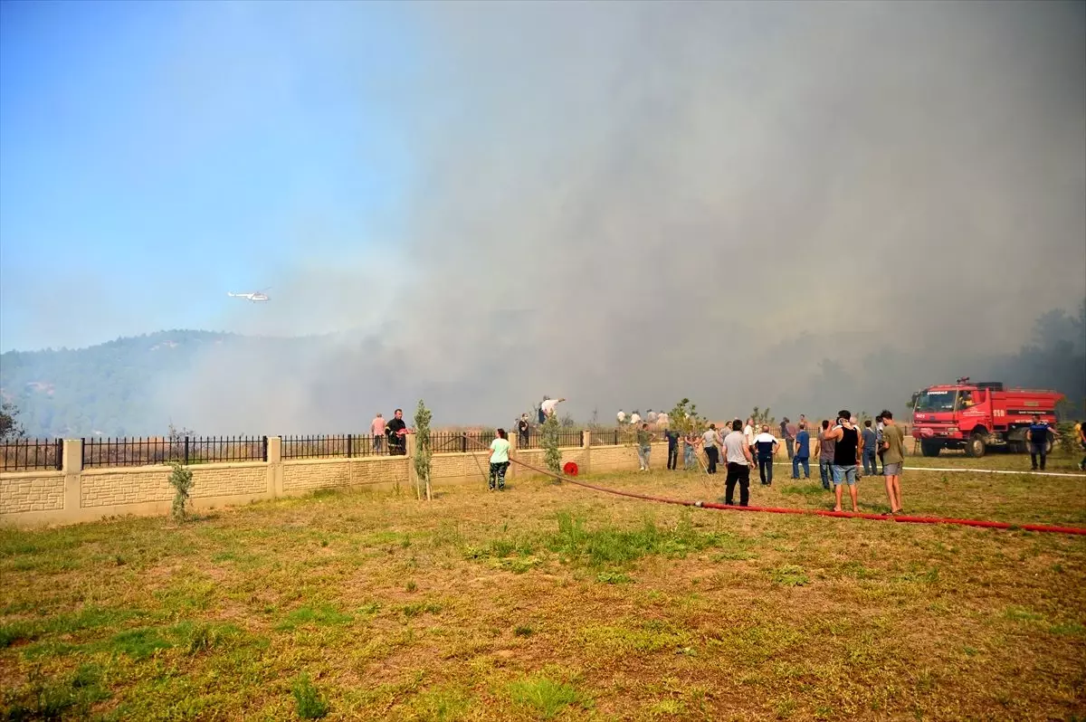 Çanakkale\'de orman yangını