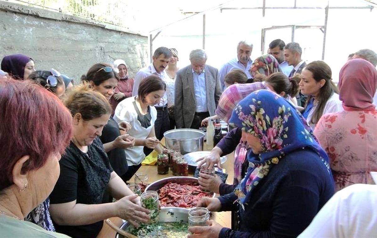 Doğanşehir\'de kapya biber hasadı başladı