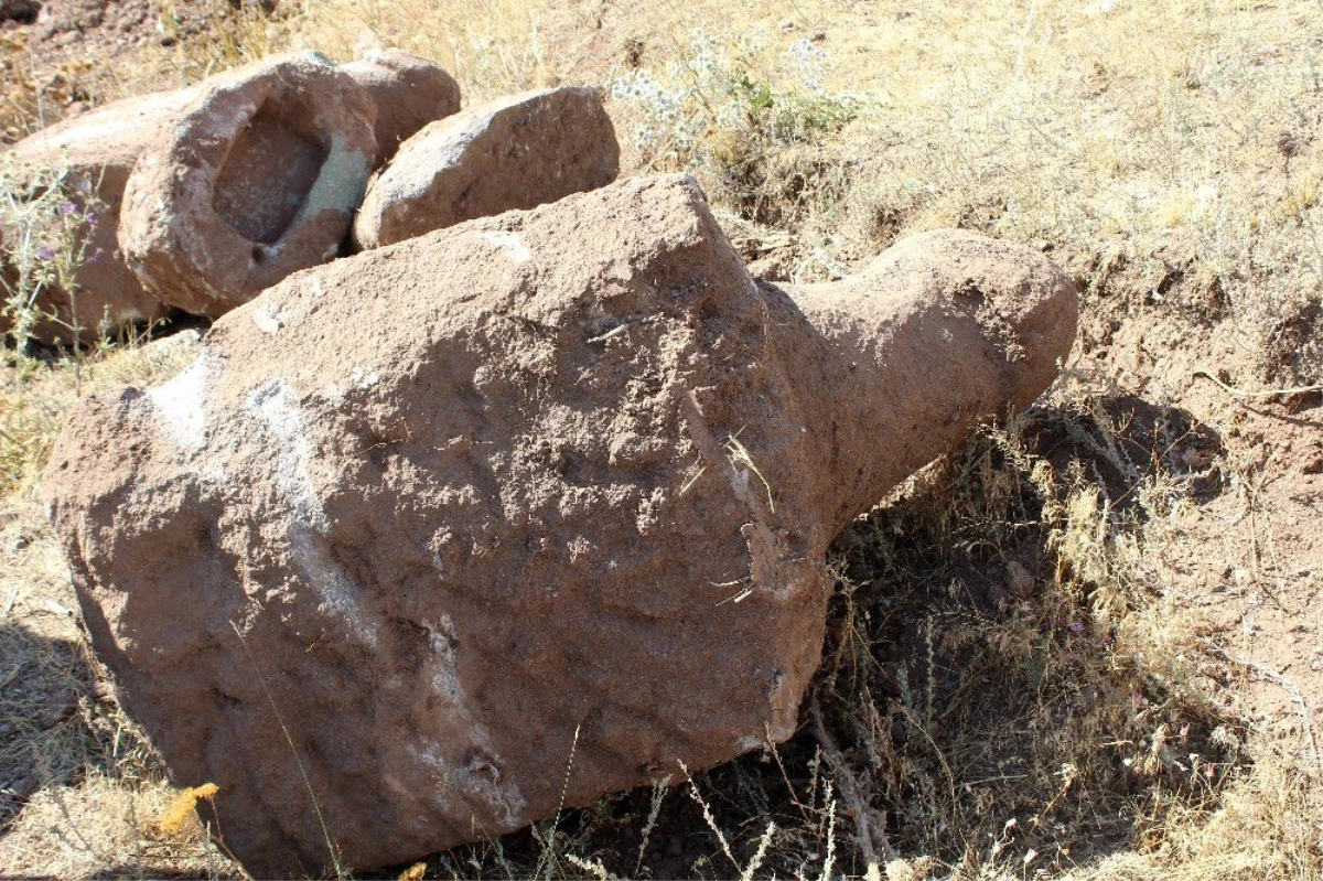Erzurum\'da koç başlı mezar taşları bulundu