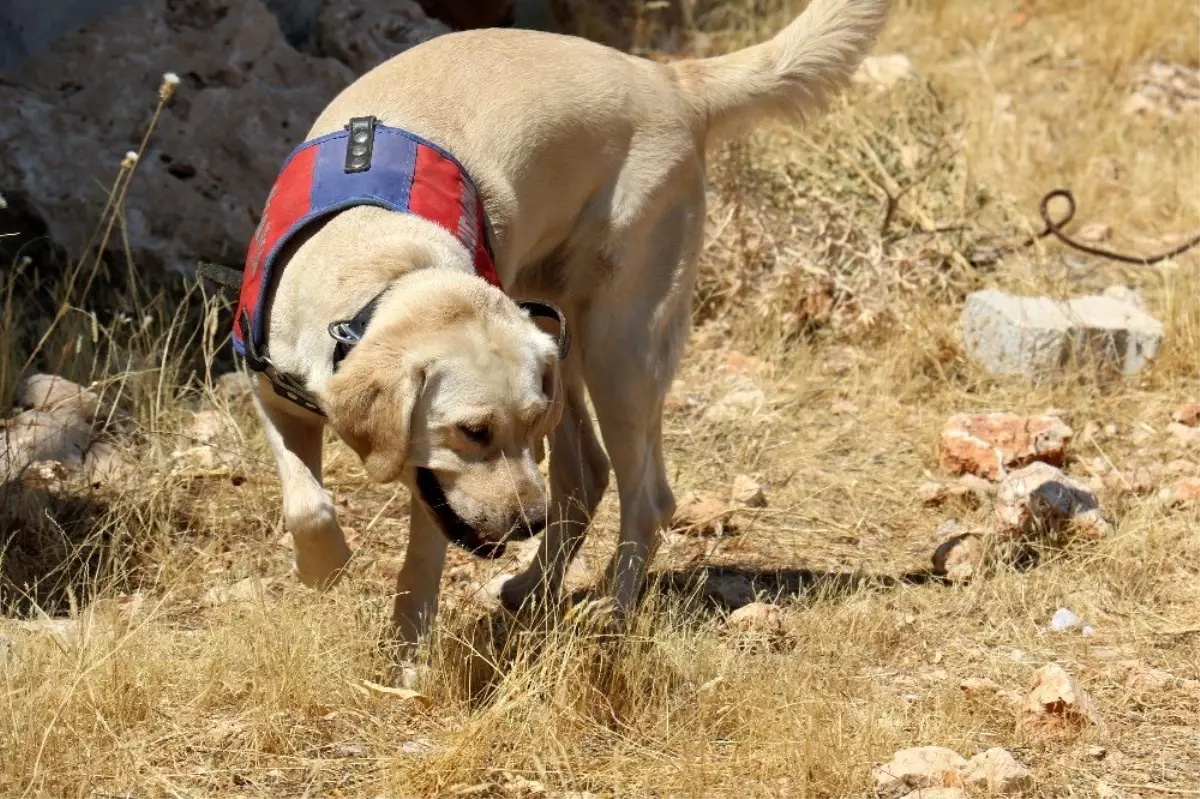 Onlar Kıran-2 operasyonunda teröristlerin korkulu rüyası